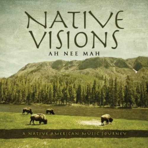 Ah Nee Mah - Native Visions: A Native American Music Journey [CD]
