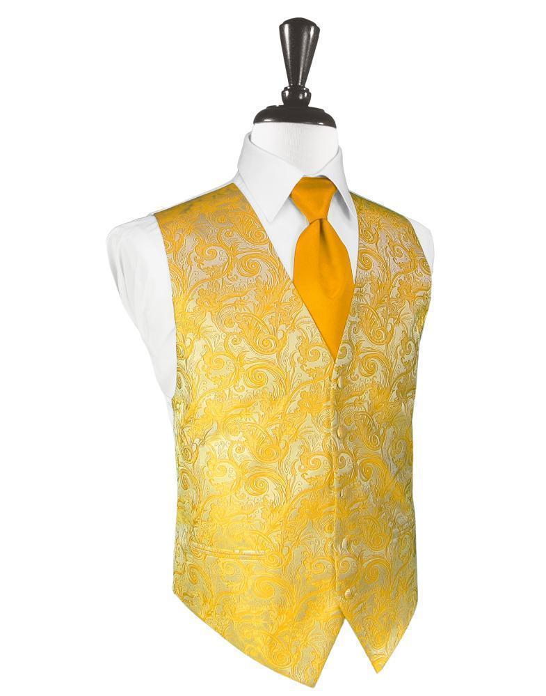 Tapestry Tuxedo Vest 10-3