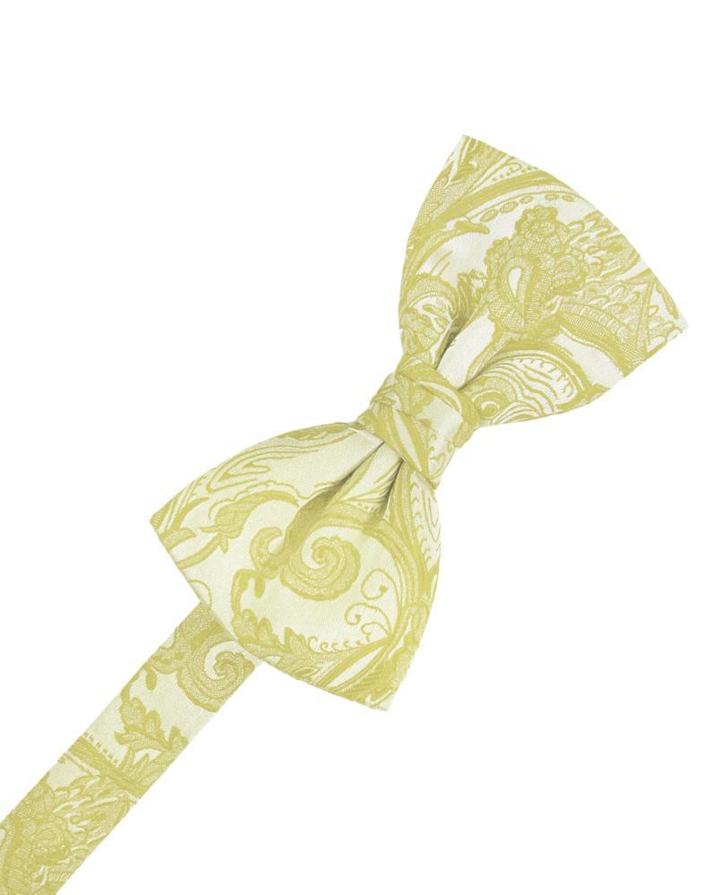 Tapestry Bow Tie Pre-Tied-5