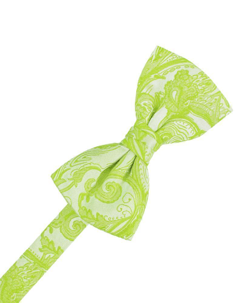 Tapestry Bow Tie Pre-Tied-32