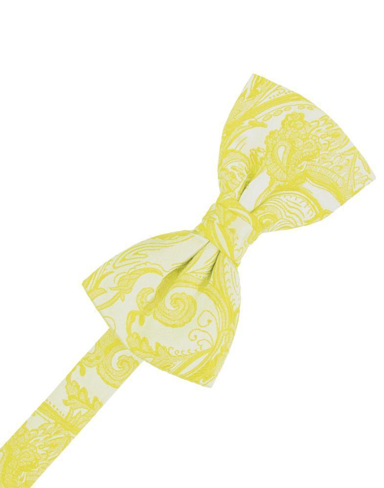 Tapestry Bow Tie Pre-Tied-61